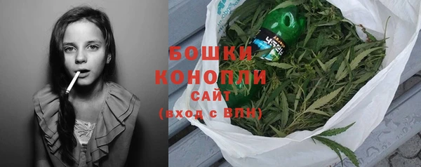 шишки Арсеньев