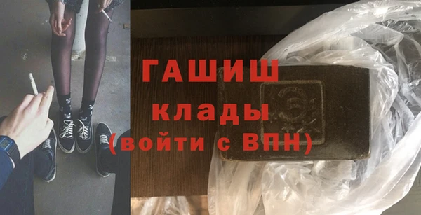 шишки Арсеньев