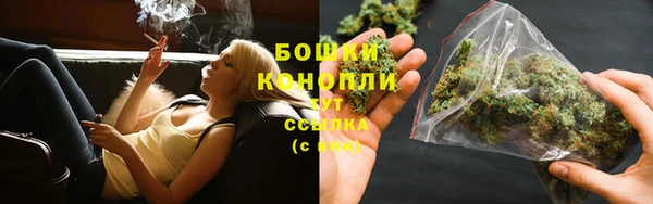 шишки Арсеньев