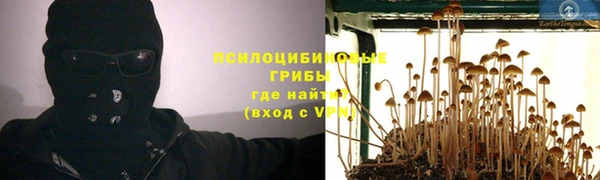 шишки Арсеньев