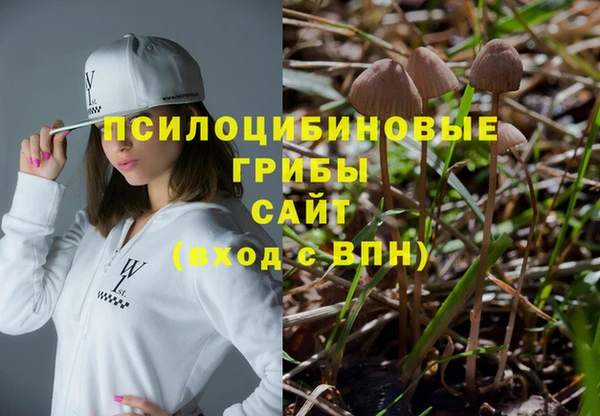 амф Михайловка