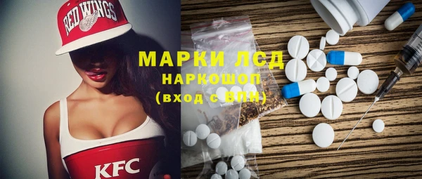 шишки Арсеньев