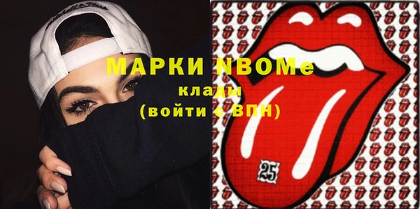 шишки Арсеньев