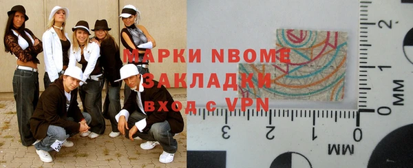 шишки Арсеньев