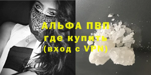 шишки Арсеньев